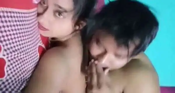 Dariyayi kuda Bengali video adult scene